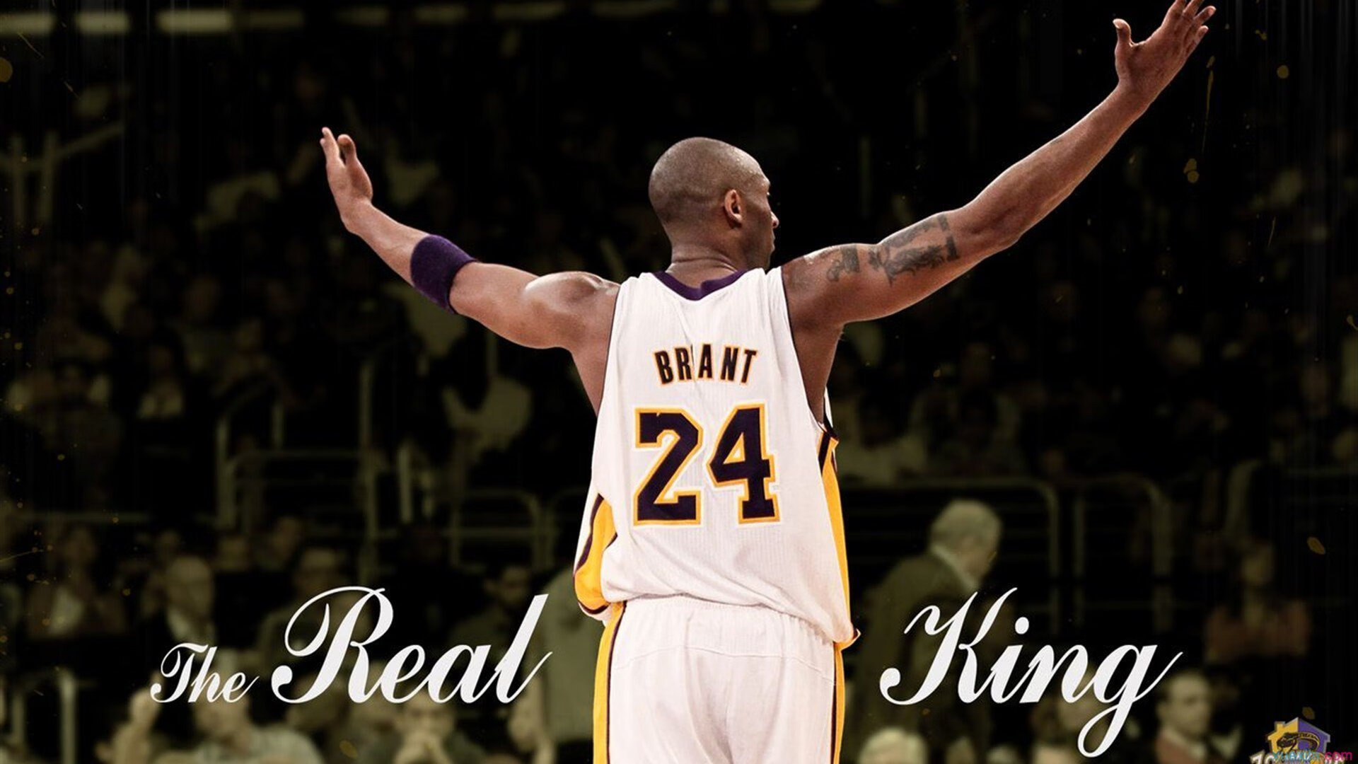 _雄鹿队字母哥再次砍下三双_，雄鹿字母哥fmvp