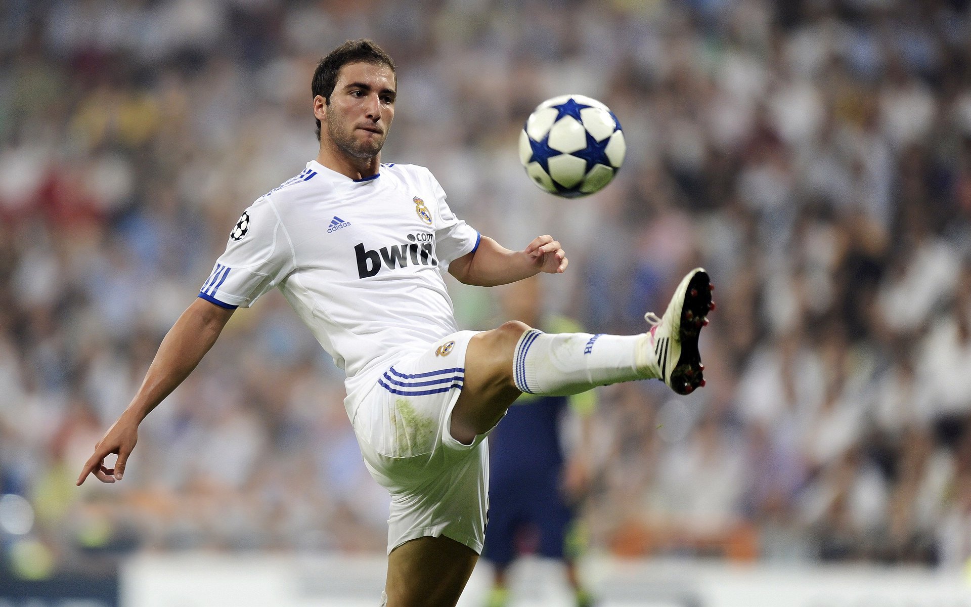 绿色能源车队：环保科技助推冠军梦想，“绿色”能源